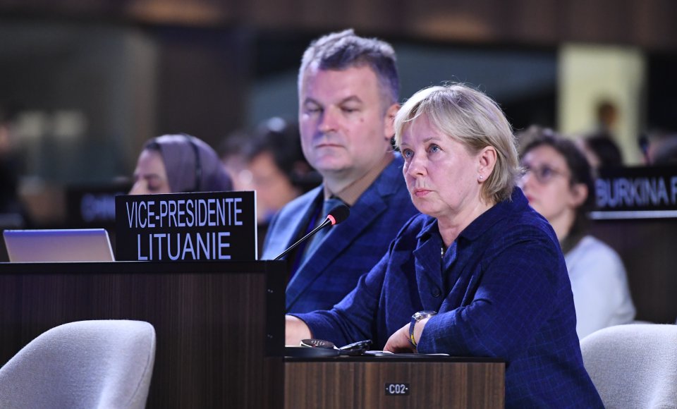 Lietuvos ambasadorė UNESCO: „Savo darbą būsime atlikę, kai Rusija atsakys už nusikaltimus“