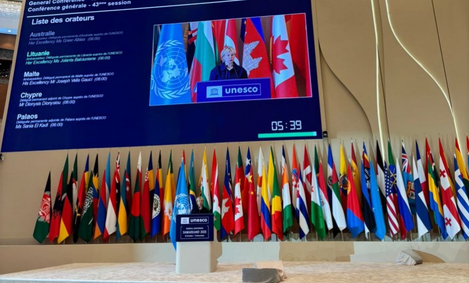 UNESCO Generalinės Konferencijos sesijoje - dėmesys Ukrainos programai